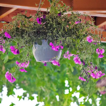 Kabak Misafir Evi Motel