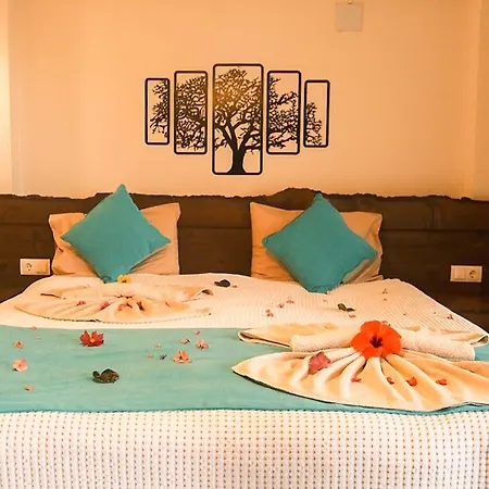 Kabak Misafir Evi Faralya