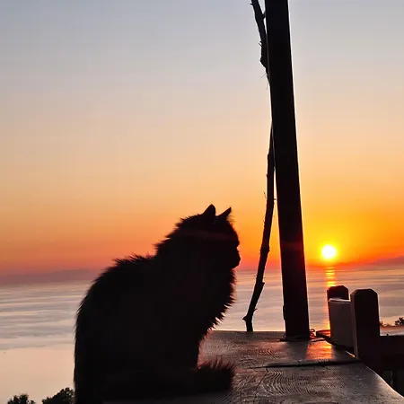 Motel Kabak Misafir Evi *